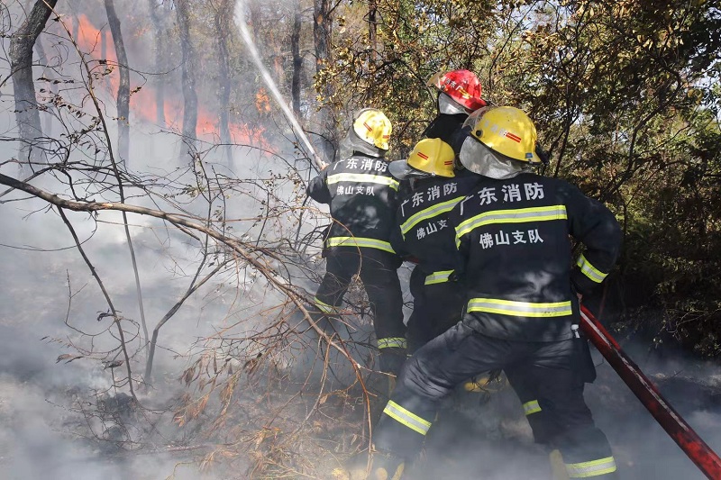 12月7日上午，广东省消防救援总队佛山支队在西线对起火山林进行灭火，并阻止火势蔓延.jpg