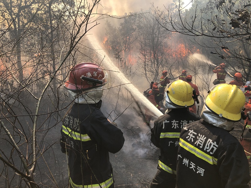 12月8日，佛山市高明区凌云山东线2号火点，广东省消防救援总队广州支队与中国森林消防机动支队并肩作战.jpg