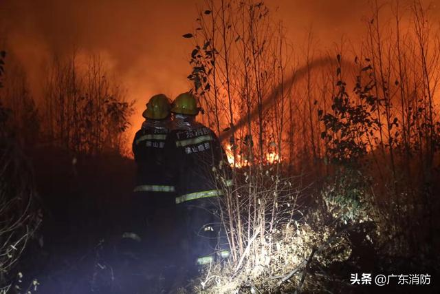#广东佛山山火#【最新救援动态】8日早上：消防救援人员彻夜奋战 消灭多处着火点