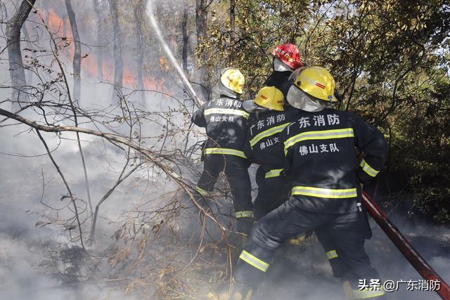 #广东佛山山火#【最新救援动态】8日早上：消防救援人员彻夜奋战 消灭多处着火点