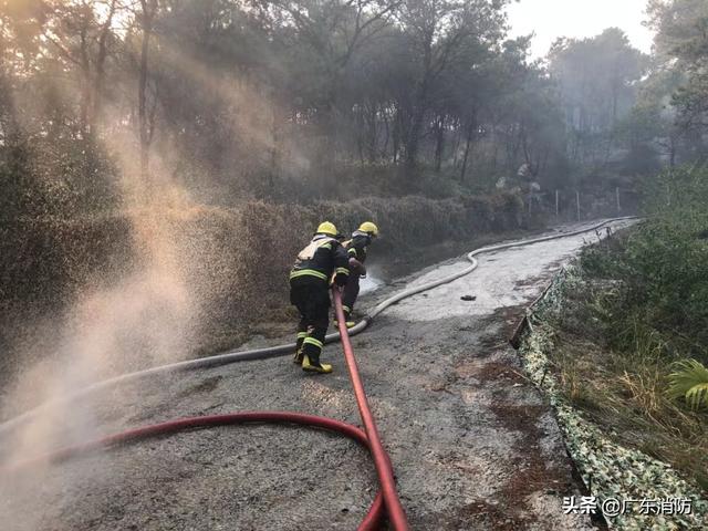 #广东佛山山火#【最新救援动态】8日早上：消防救援人员彻夜奋战 消灭多处着火点