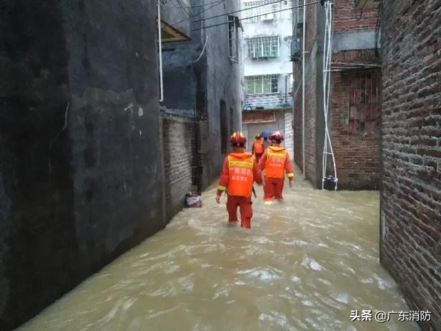 突发暴雨内涝百余人被困，报警电话接连不断，消防员深夜密集救援！