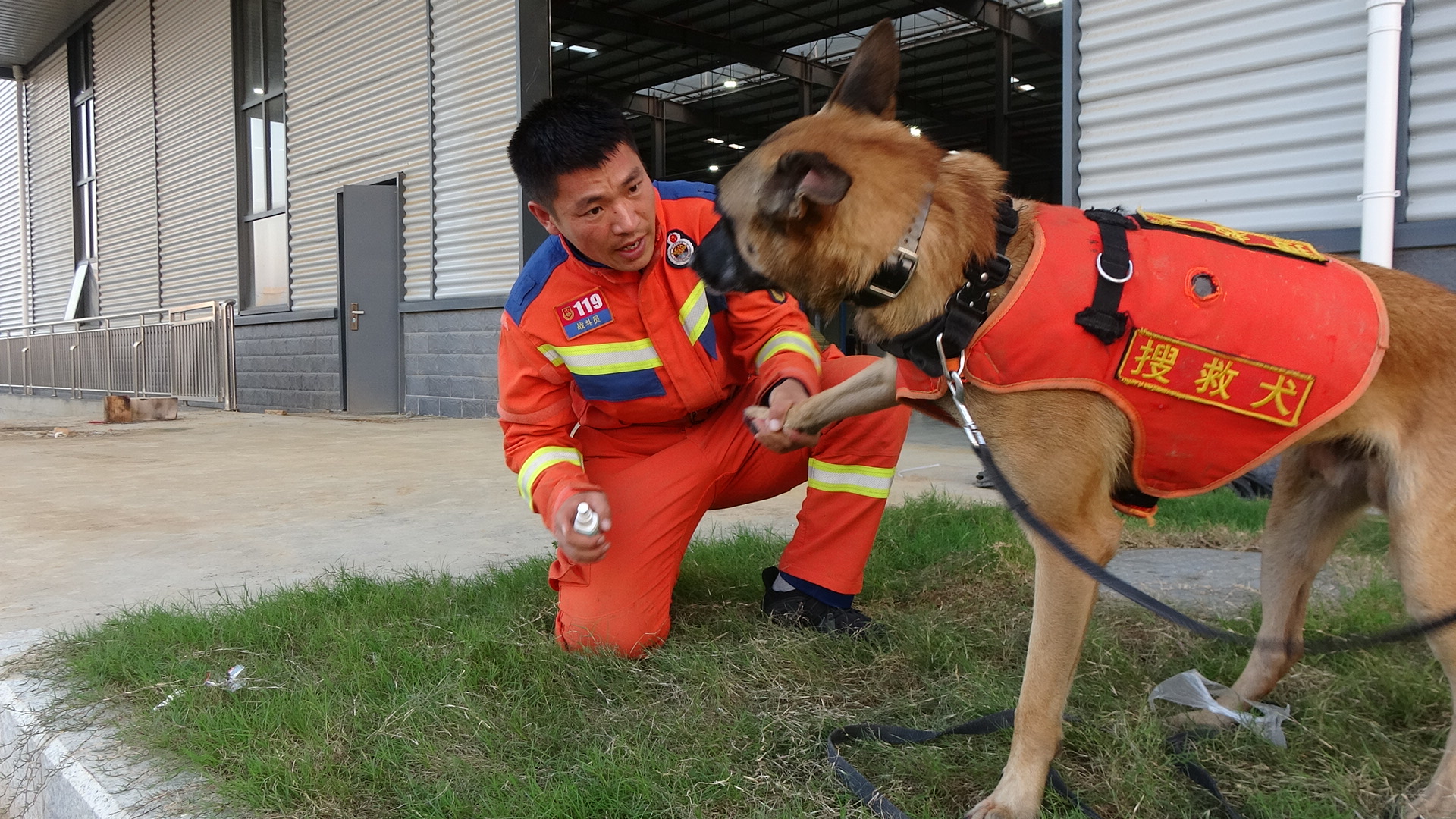 搜救犬训导员正在安抚搜救犬情绪（刘浩亮摄）.jpg