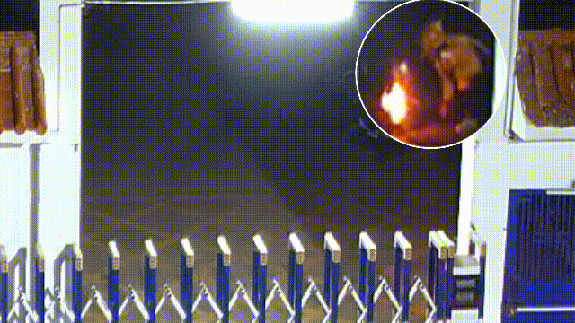 640.gif
