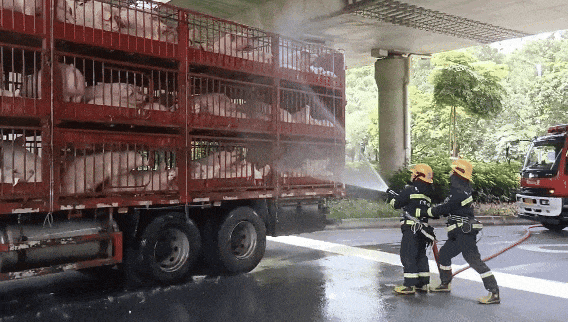 7月15日(1).gif