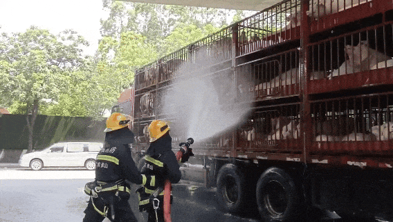 7月15日(2).gif