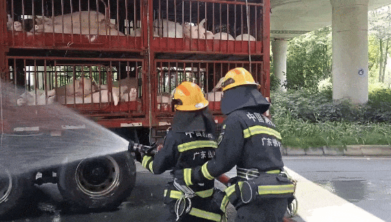 7月15日.gif